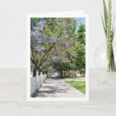 Carte Parque de la Bombilla, Lliria, Valence, Espagne (Devant)