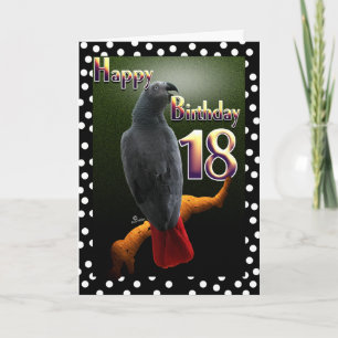 Carte Parrot African Gray bird polka dot 18 Birthday