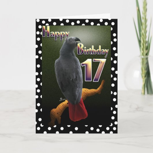 Carte Parrot African Grey bird polka point 17 Anniversai (Devant)