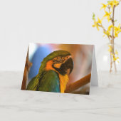 Carte Parrot Note (Fleur jaune)