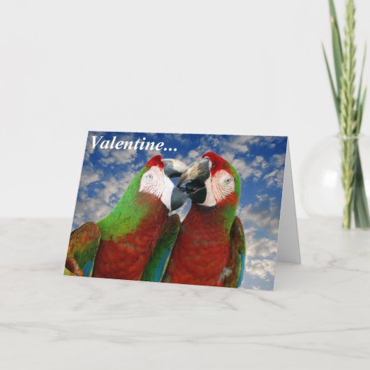 Carte Parrot Valentine 003 (Devant)