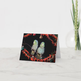 Carte ParrotletsVacances