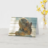 Carte Partage Bunny et Chipmunk (Fleur jaune)