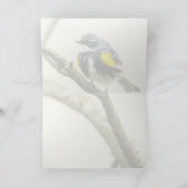 Carte Paruline à croupion jaune (Intérieur)