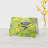 Carte Paruline à croupion jaune (Fleur jaune)