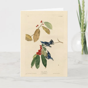 Carte Paruline azurée (Cerulean), Audubon Birds of Ameri