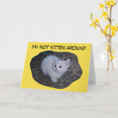 Carte Pas chaton autour (Fleur jaune)