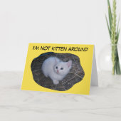 Carte Pas chaton autour (Devant)