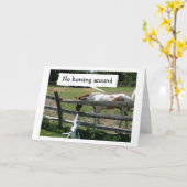 CARTE PAS DE CHEVAL AUTOUR - EST-CE VRAIMENT VOTRE ANNIV (Fleur jaune)