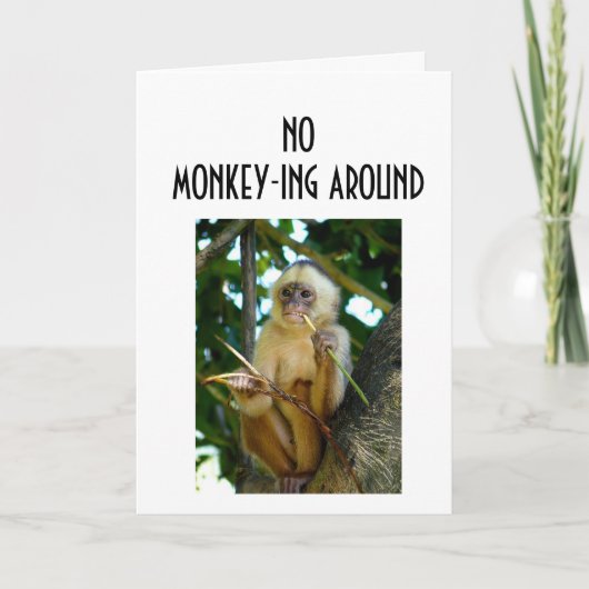 CARTE PAS DE MONKEY-ING AUTOUR DE VOUS AIMER (Devant)