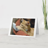 CARTE PAS DE PURING, VOUS SOUHAITANT UNE JOLIE NOËL (Devant)