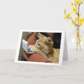 CARTE PAS DE RONRONNEMENTS, NOUS VOUS SOUHAITONS UN JOYE (Fleur jaune)