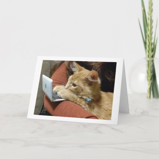 CARTE PAS DE RONRONNEMENTS, NOUS VOUS SOUHAITONS UN JOYE (Devant)