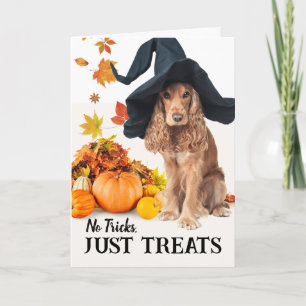 Carte Pas De Trucs Juste Traite Halloween Cocker Spaniel
