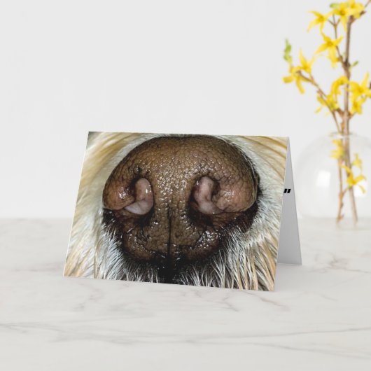 CARTE PAS EN ÊTRE "INDISCRET" MAIS EST-CE QUE TU AS **40 (Fleur jaune)