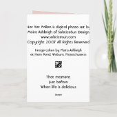 Carte Pas encore tombé (Dos)