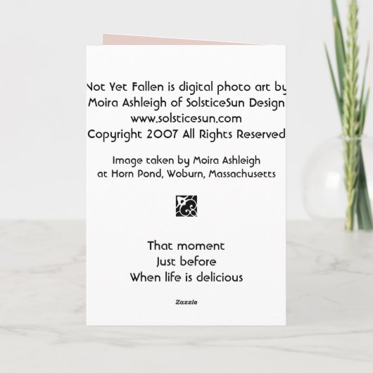 Carte Pas encore tombé (Dos)