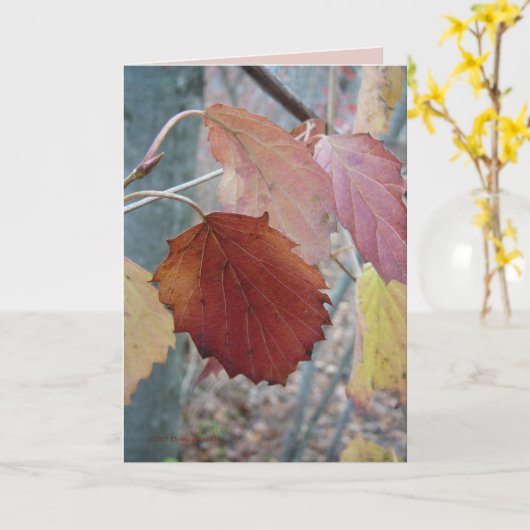 Carte Pas encore tombé (Fleur jaune)