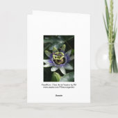 Carte Passiflora - Fleur de la Passion (Dos)