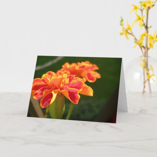 Carte Passion (Fleur jaune)