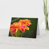 Carte Passion (Devant)