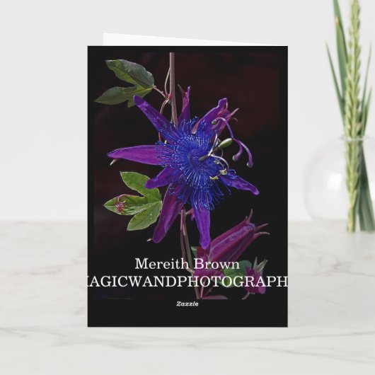 Carte Passion pourpre (Dos)