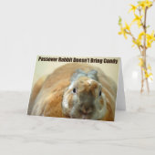 Carte Passover Rabbit (Fleur jaune)