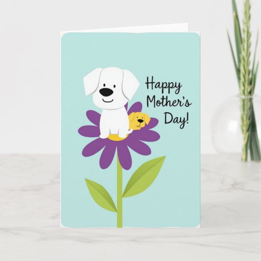 Carte Pastel Blue Flower Petals Card (Devant)