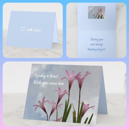 Carte Pastel Pink Pluie Lilies Springtime Floral Card
