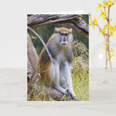 Carte Patas Monkey (Fleur jaune)
