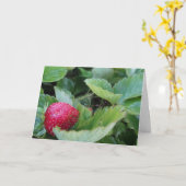 Carte Patch fraise (Fleur jaune)