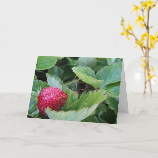 Carte Patch fraise (Fleur jaune)