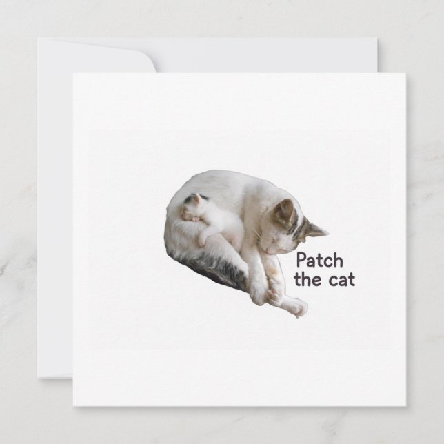 CARTE PATCH LE CHAT ET SA CUISINE (Devant)