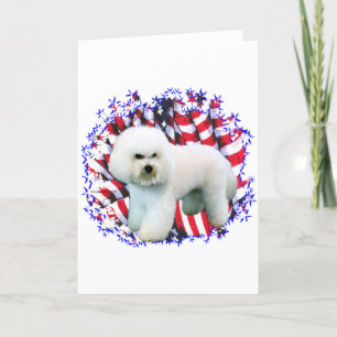 Carte Patriote de Bichon Frise