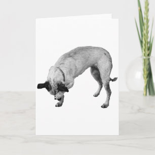 Carte Patte de Coyote, Meilleurs Vœux