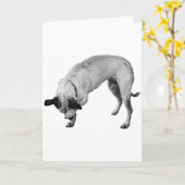 Carte Patte de Coyote, Meilleurs Vœux (Fleur jaune)