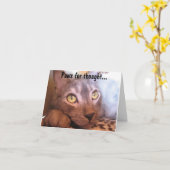 Carte Pattes pour des yeux de pensée (Fleur jaune)