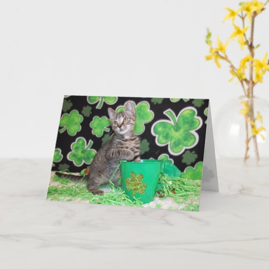 Carte Patton the St. Patrick's Day Cat Greeting Card (Fleur jaune)