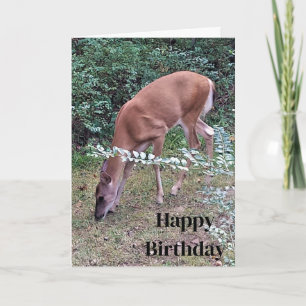 Carte Pâturage de cerfs blancs à Dusk Joyeux anniversair
