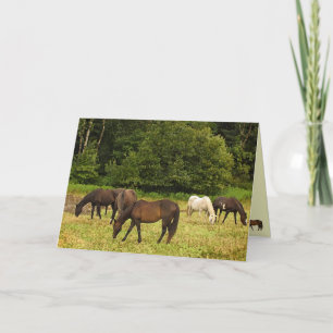 Carte Pâturage de l'anniversaire de chevaux