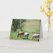 Carte Pâturage du cheval (Fleur jaune)