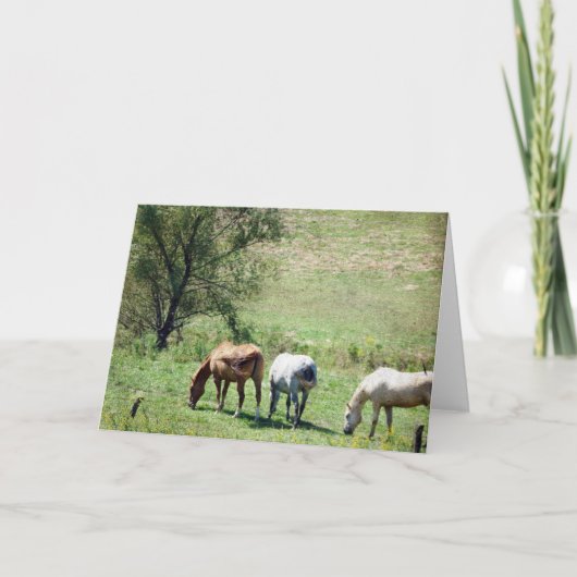 Carte Pâturage du cheval (Devant)