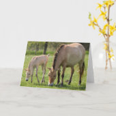 Carte Pâturage du cheval et du poulain de Przewalski (Fleur jaune)