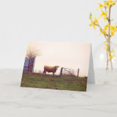 Carte Pâturage vintage (Fleur jaune)