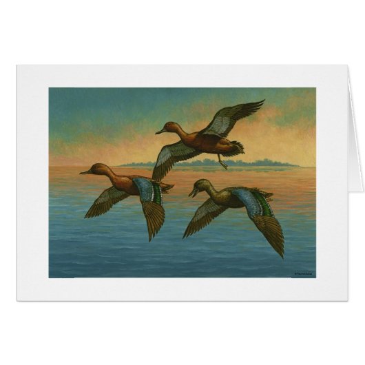 Carte Paul McGehee "Cinnamon Turquoise" (Devant Horizontal)