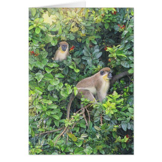 Carte Paul McGehee "Monkeying Around" (Devant)