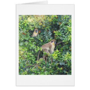 Carte Paul McGehee "Monkeying Around"