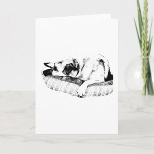 Carte Pause graphique, vœu de saison paisible