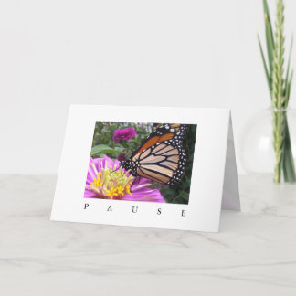 Carte Pause : Monarque sur Pink Zinnia