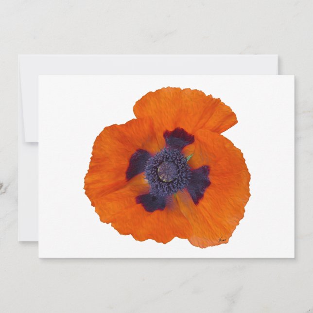 Carte Pavot orange écarlate 1 (Devant)